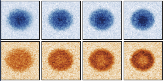 padilla-scalettar-magnetic-patterns.png padilla-scalettar-magnetic-patterns.png