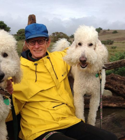 kiskis_dogs_beach_hike