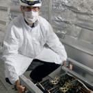 Headshot of Maxwell Chertok